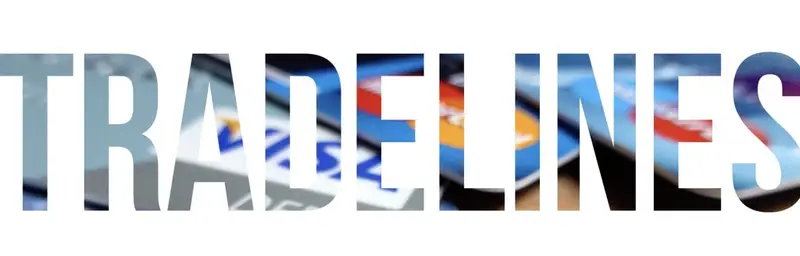 Unlock Business Funding with Aged Shelf Corporations, Shelf Seasoned Aged Shelf Corporations Credit Ready Tradelines Business Funding, 80 Paydex Score, $100K To $1M In Funding, Dun & Bradstreet, Experian & Equifax Start-Up Corporation Unpublished Corporation Never Sold Online Does Not Have Bad Credit, Age 4 To 8 Years Old Proper Tax ID # / EIN # Tradelines Credit Funding, Website, Credit Enhancement, Unsecured EIN Business 80 Paydex $250k Unsecured Funding, Business CPN Ready Made 80 Paydex, $250k Funding, Experian, Equifax, SBFE, Auto Primary Tradeline $120,000, Custom Made 800 Credit Score, $100,000 Funded Ready, Personal Installment Loan, Apartment, Mortgages, Revolving Credit Lines, Dun & Bradstreet, No Credit Checks, Startup Business And Personal Credit Tradelines, 80 Paydex Funding & Credit For Every Situation, Corporate Credit 0% Startup Funding, Personal Loans, 0% Credit Card Stacking, Startup Credit Building, Aged Corps Credit Repair Services Business Start Funding, High Limit Credit Cards Tradelines, Credit Lines Funded Aged Corp, Authorized User Accounts, Experian Line, Equifax Line, SBFE, Auto Vehicle, Personal Installment Loan Tradeline Credit Lines, LLC, S-Corp, C-Corp Business Credit EIN & DUNS Credit Building, Advance Credit Repair Services, Credit Cards & Vehicle Financing With Only Your EIN, $250K 0% Startup Credit Cards $100K Corporate Credit EIN, LLC, No PG Or Credit Checks, $150K 0% Guaranteed Funding, No Personal Credit Check or Guarantee, $250K EIN Credit Builder Card Tradeline, Credit Cards, Loans. Tradelines Credit Funding, Website, Credit Enhancement